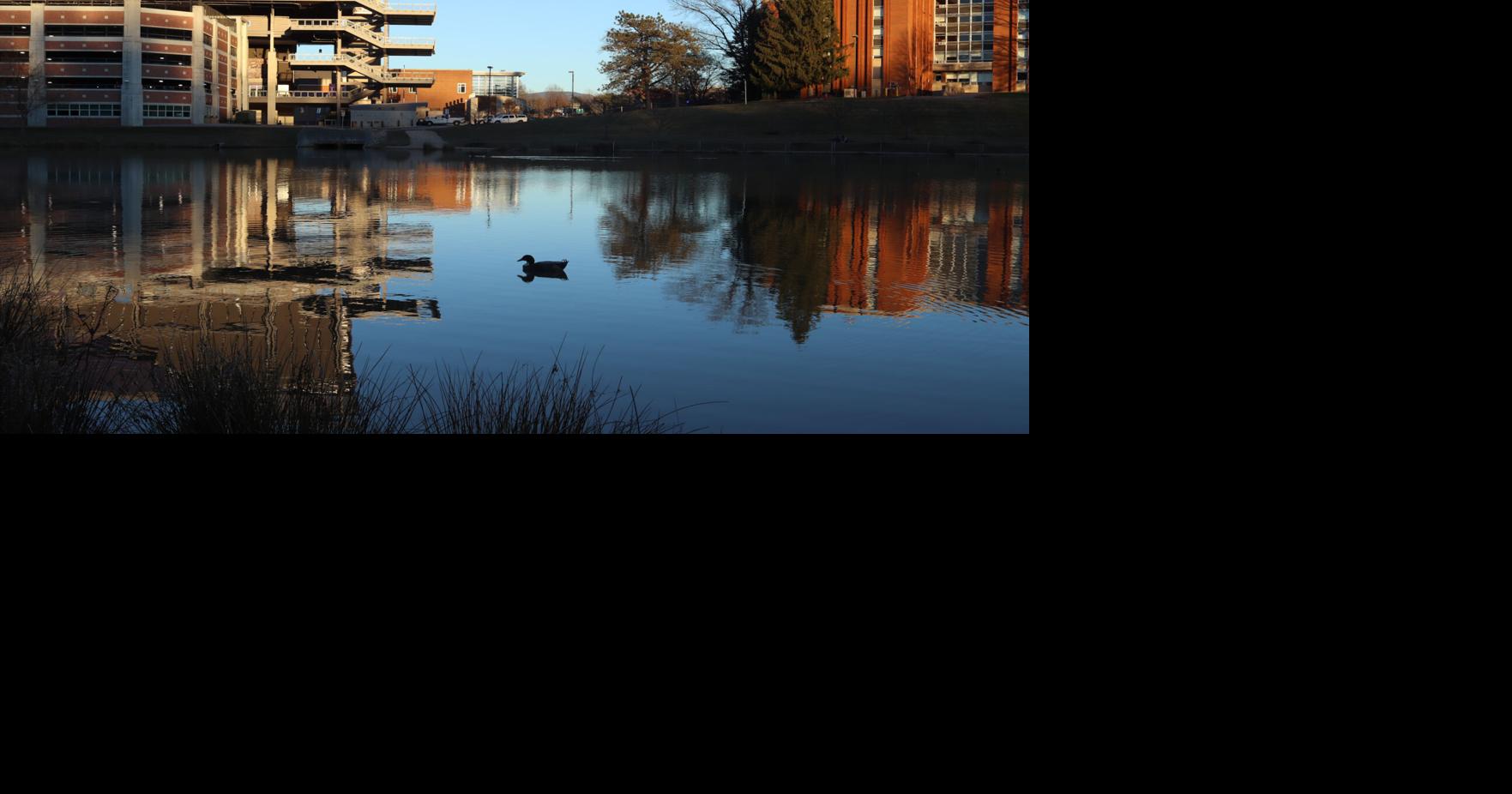 Opinion Campus hidden gems worth showing off for Family Weekend