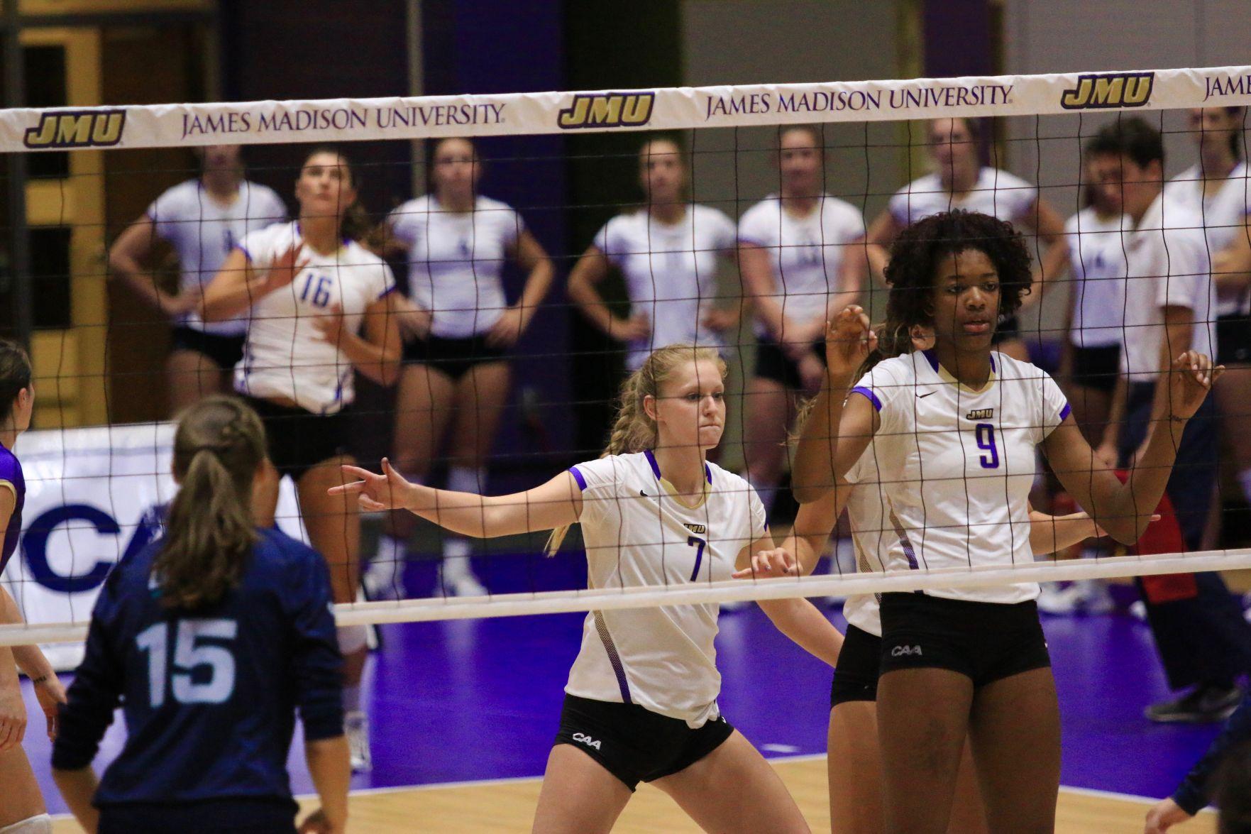 JMU volleyball drops first match to College of Charleston Sports