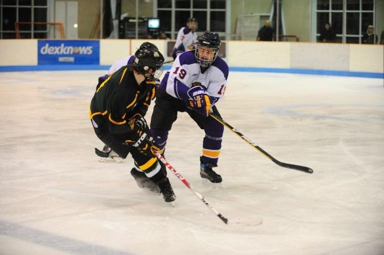 JMU Ice Hockey Team Multimedia