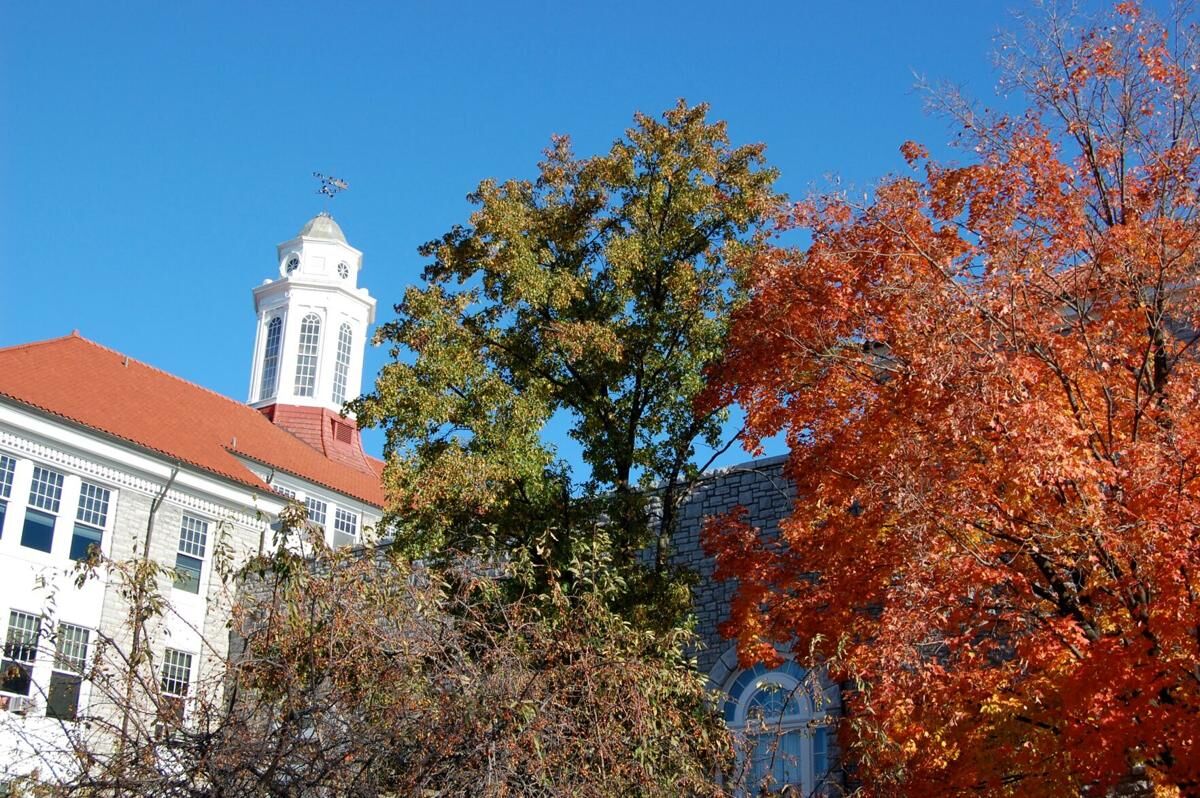 Rabid stray cat found at JMU