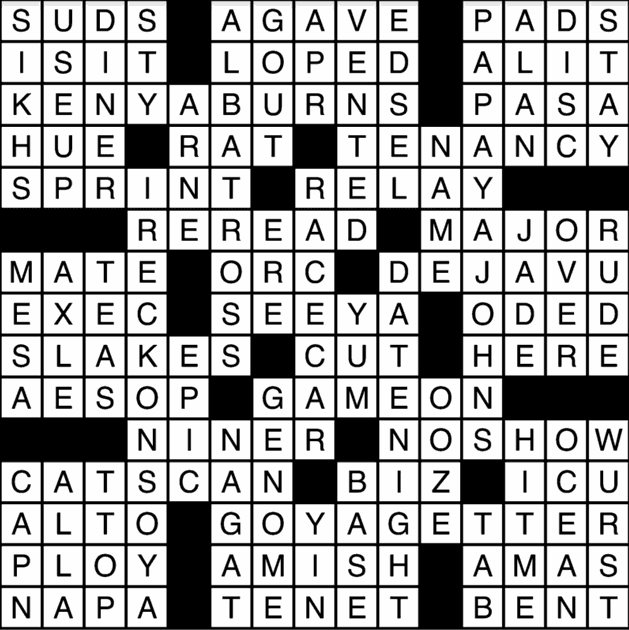 Crossword puzzle answers: Feb. 2, 2017 | Site | breezejmu.org