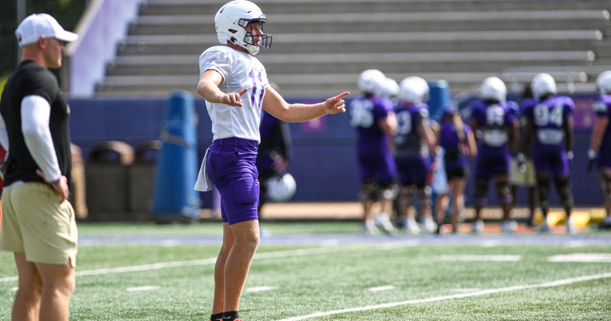 Australian punter Patrick Rea brings new spin to JMU football