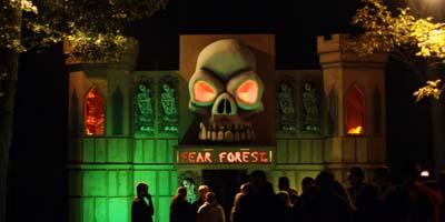 Harrisonburg Horror Fear Forest Fulfills Expectations Life Breezejmu Org