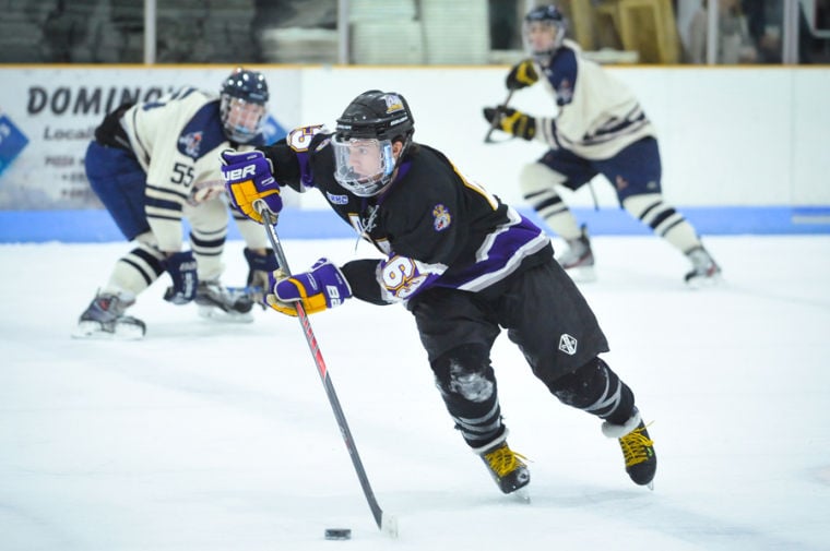 JMU Ice Hockey vs. U.Va. | Photos | breezejmu.org