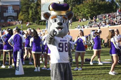 The History Of The Duke Dog Special Sections Breezejmu Org
