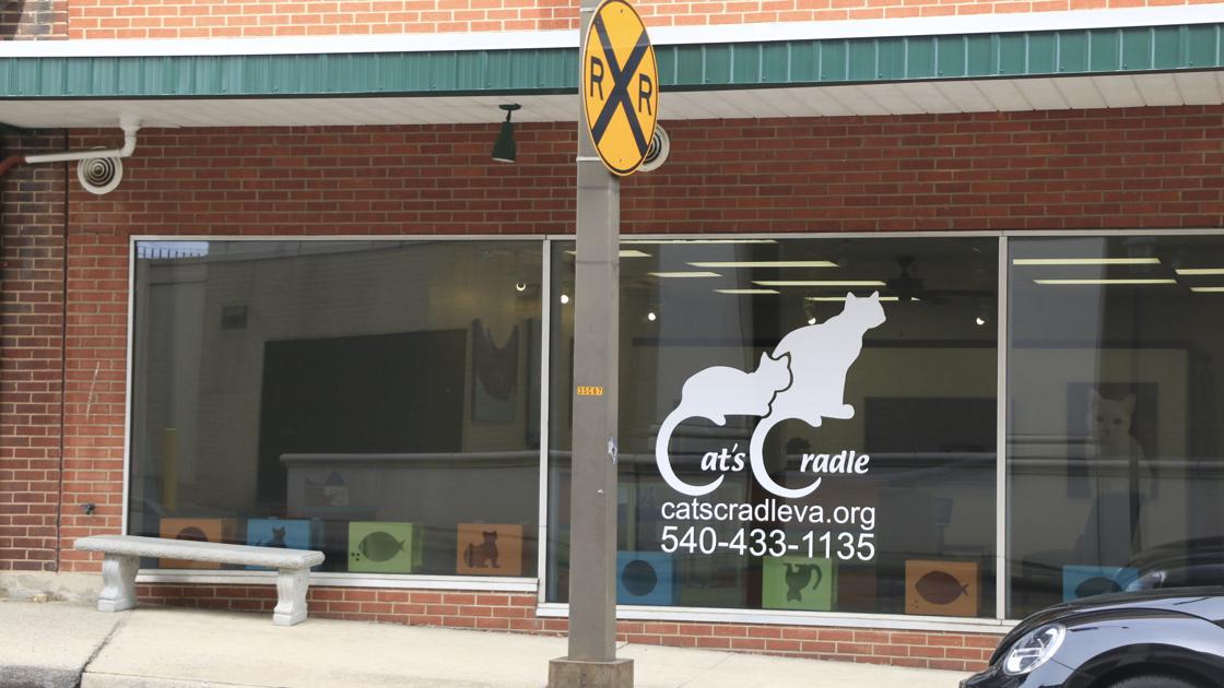 Cat S Cradle Shelter Temporarily Relocates During Renovations