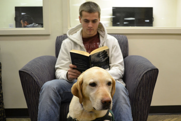 asperger service dog breeds