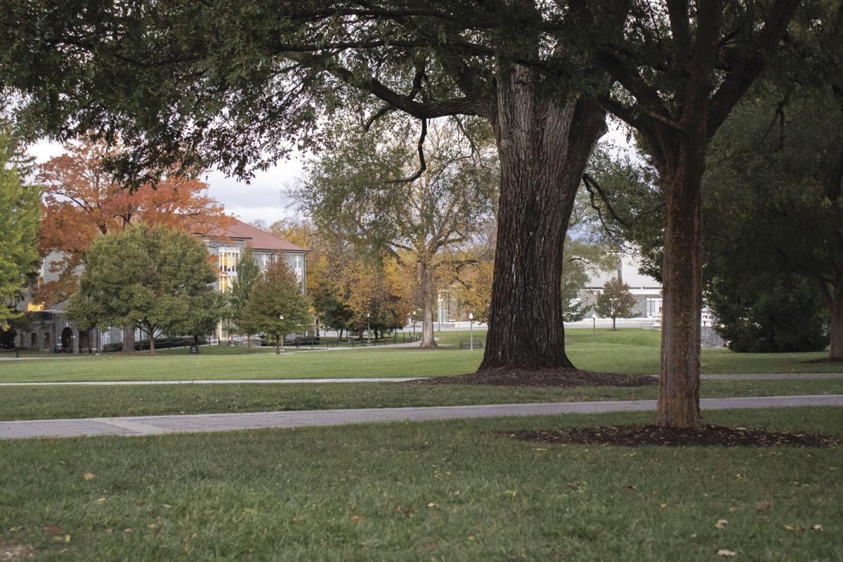 Opinion, JMU should allow students to keep microwaves in dorm, Opinion