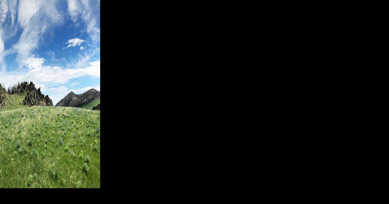 Trail of the Week: Firebox Park | Sports | buffalobulletin.com
