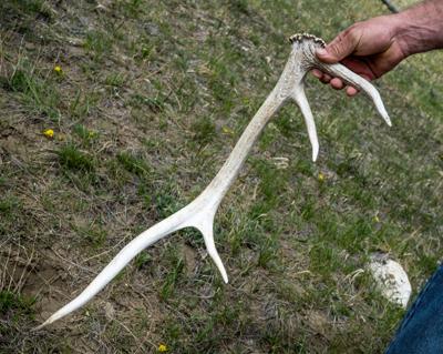 20220515_ShedHunting_EW_0091_BB.jpg