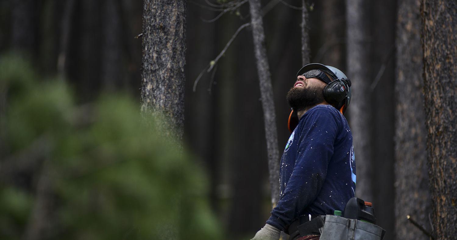 Fighting fire with feds: Hearing focuses on more intensive forest management - Vimarsana News