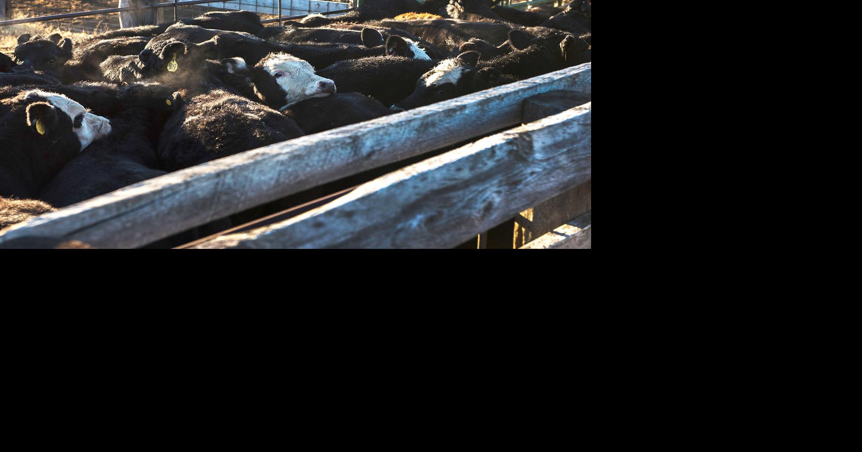 Breaking down the farm bill: delay has implications for Wyoming | News ...