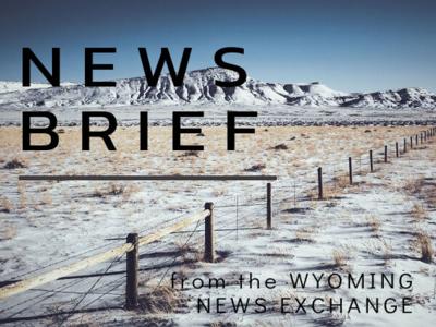 Wapiti hunter to pay $15K for mistakenly killing grizzly News
