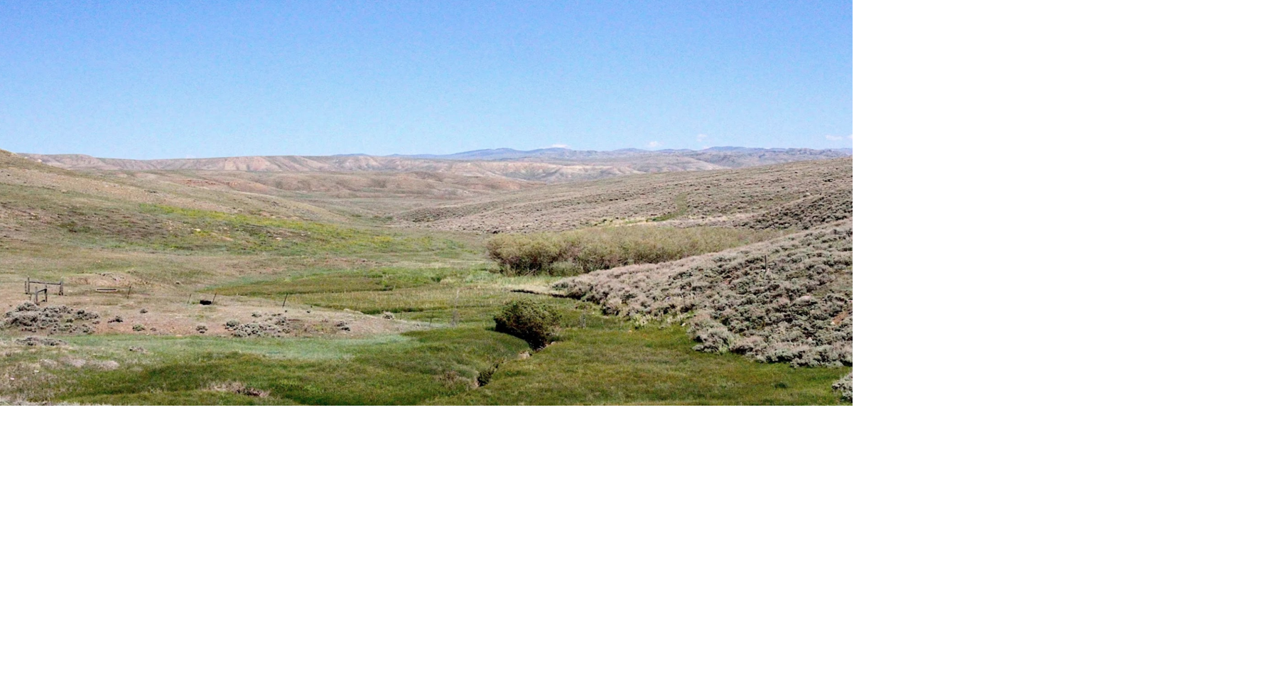 Drought delivers ‘worst case scenario’ for fire scar recovery in Wyoming’s Bighorn Basin