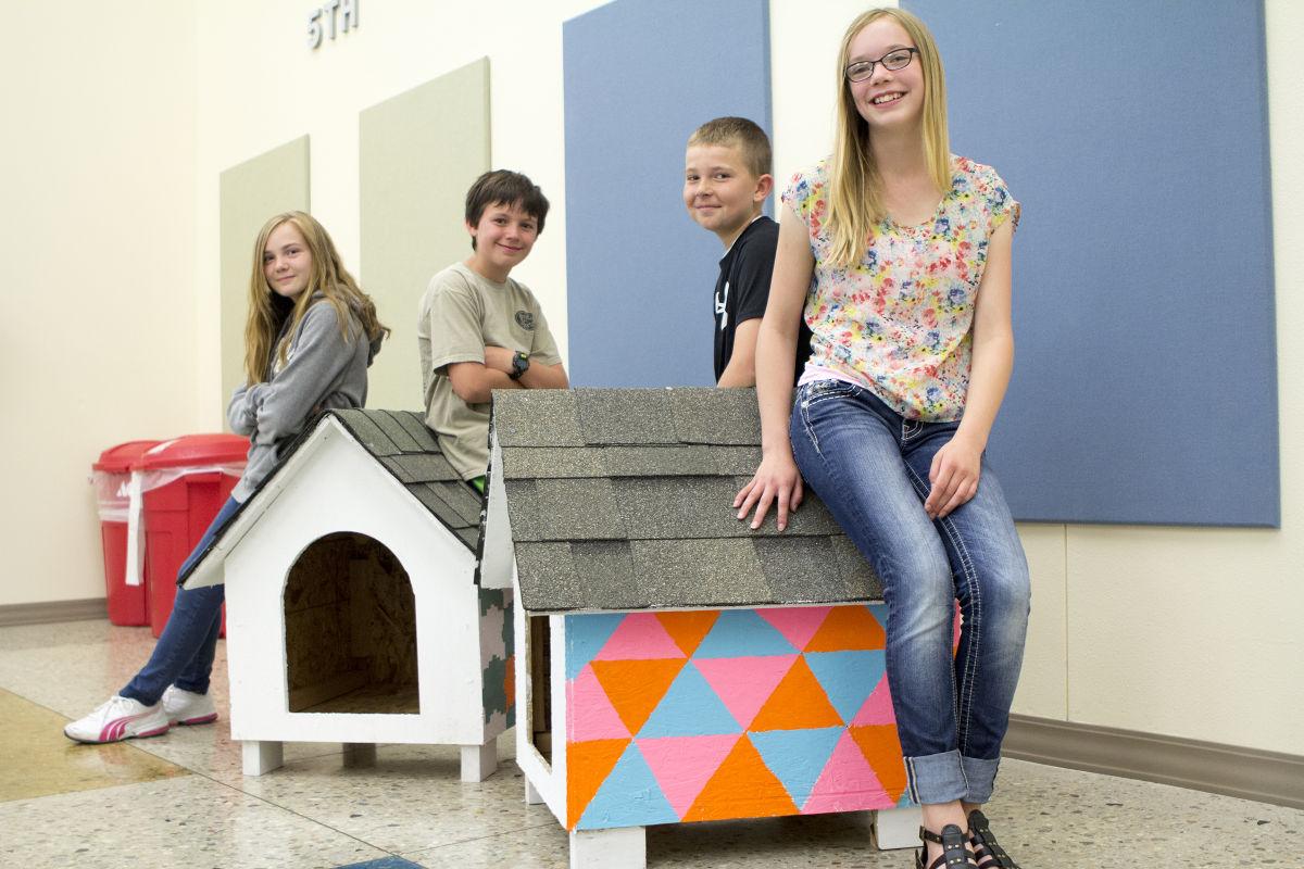 Students Build Homes For Lonely Dogs Schools Buffalobulletin Com