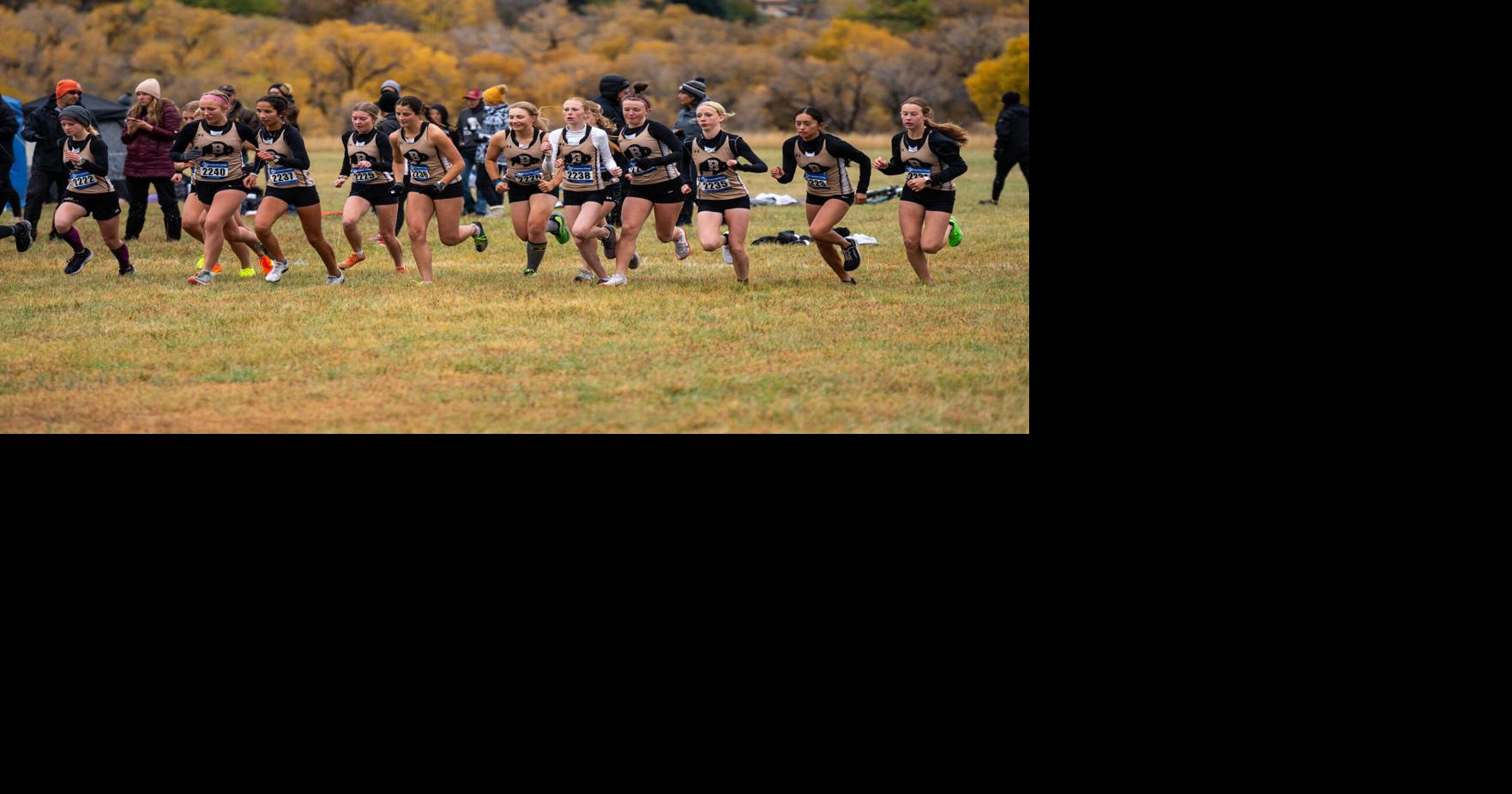 Lady Bison claim sixth consecutive 3A East Absaraka Conference ...