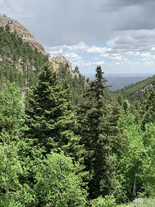 Sayles Creek Canyon
