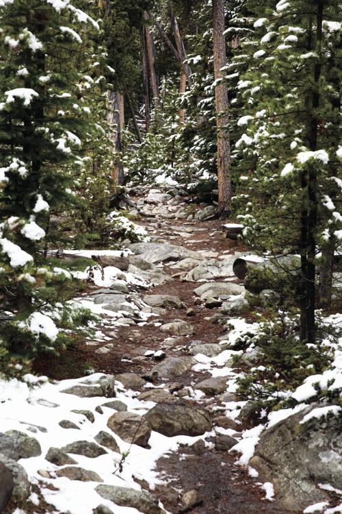 Bighorn National Forest