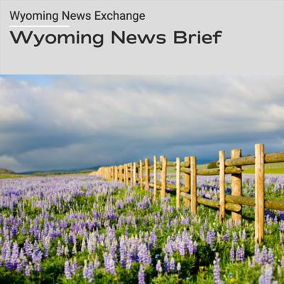 News Brief Summer