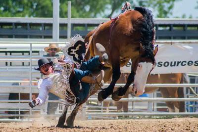 Albany County: Must-Visit for Cowboy Culture