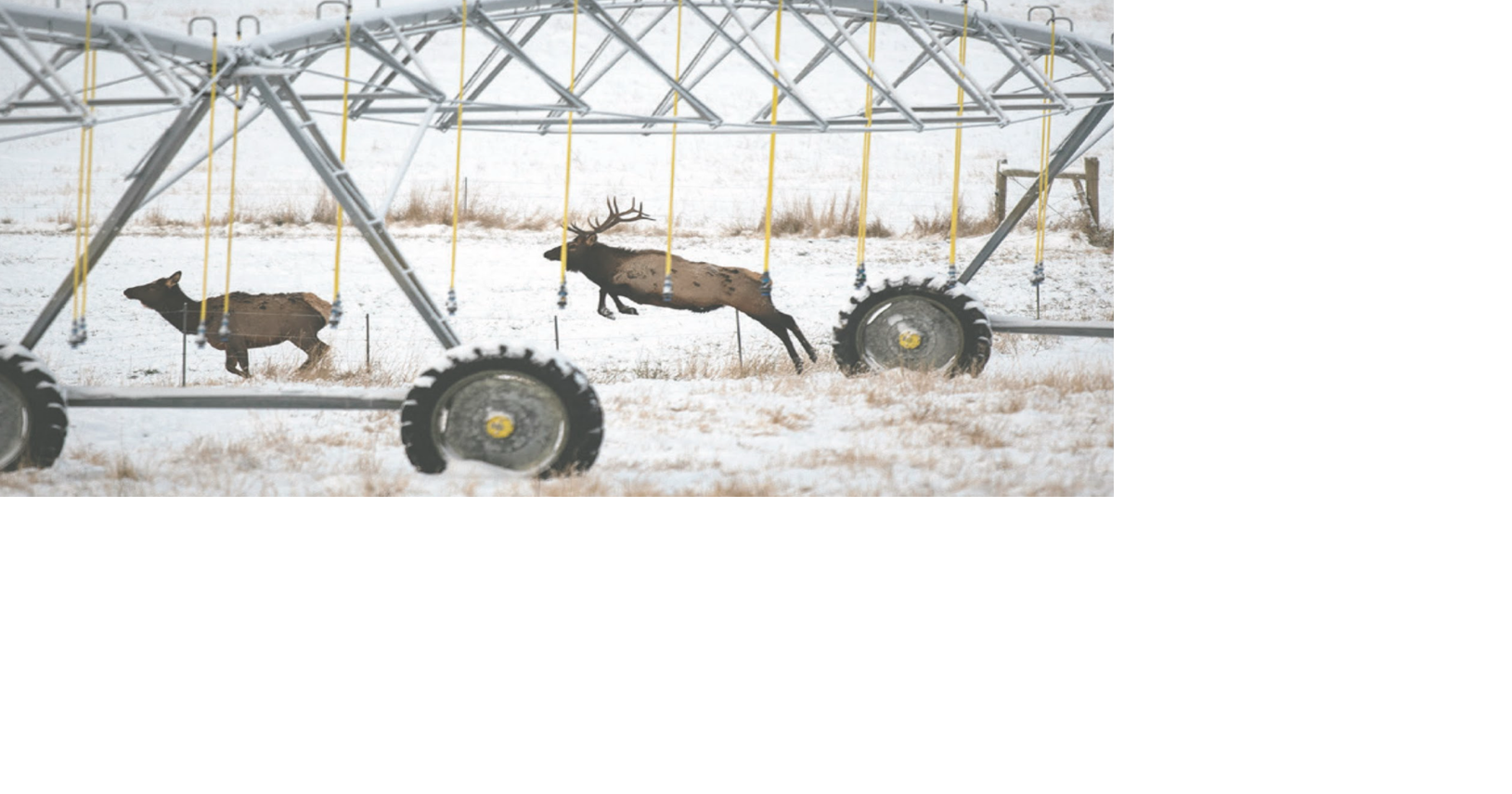 Landowners help with conservation, wildlife management