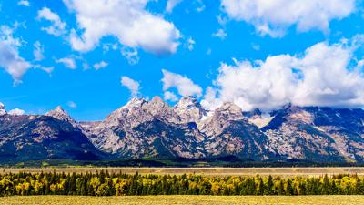 Teton County Requires People To Stay At Home Wyoming Covid 19 Cases Rise To 130 State Buffalobulletin Com