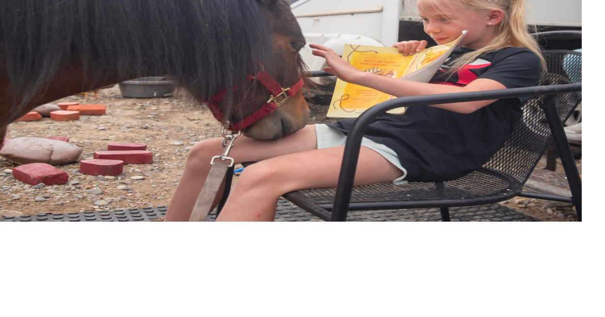 In Big Horn County, horses help with summer reading