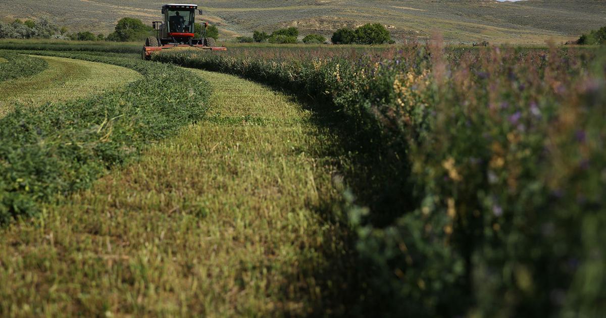 Campbell County ranchers cautiously optimistic headed into summer ...