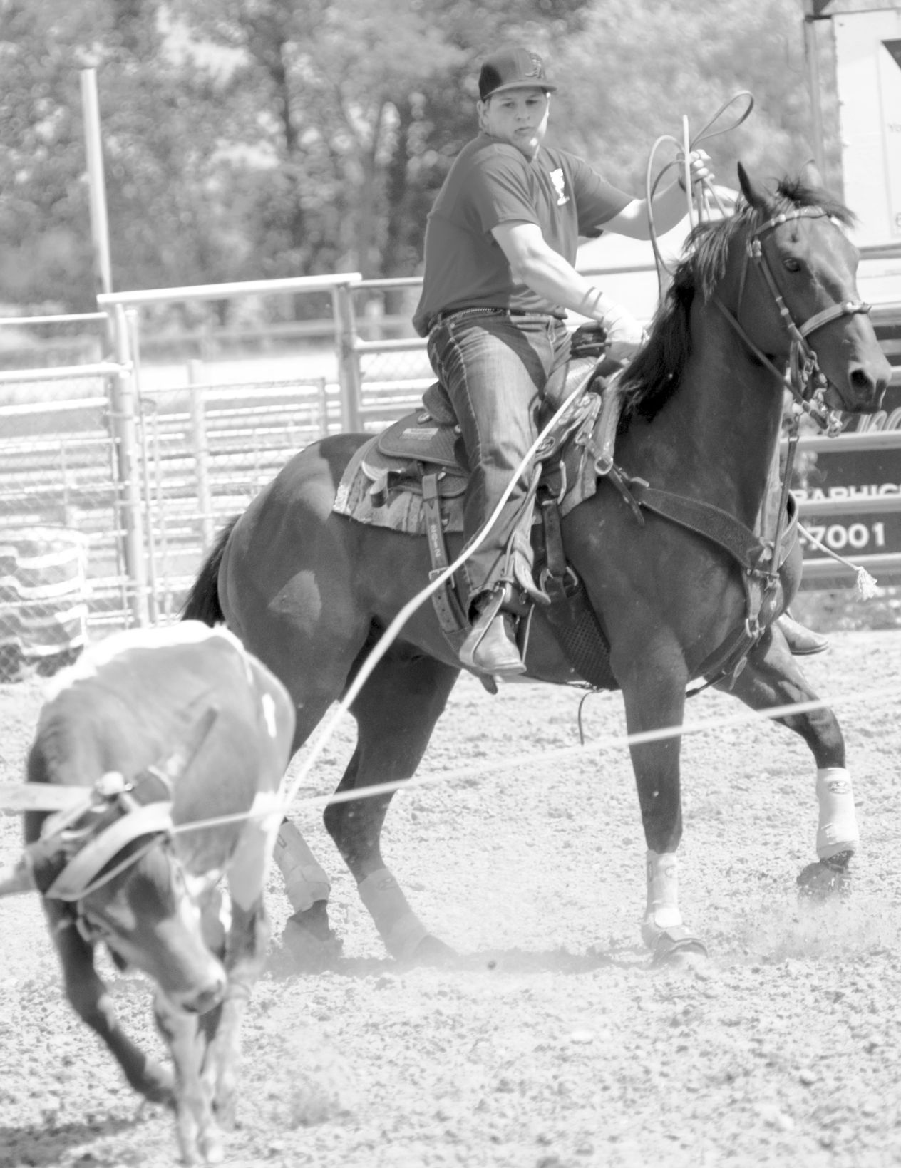 Scholarship Roping Back For Another Year | News | Buffalobulletin.com