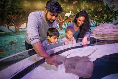 New creatures at the Aquarium of Niagara