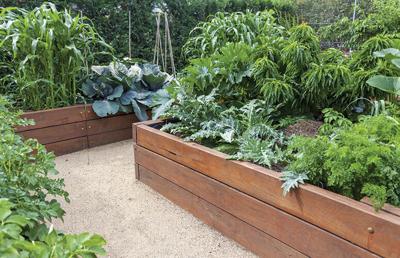 Elevated Raised Bed Gardening: The Easiest Way to Grow!