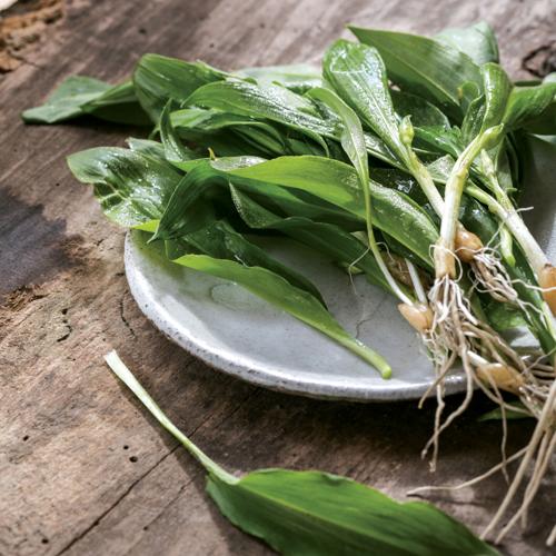 Ramps and scapes Food + Drink