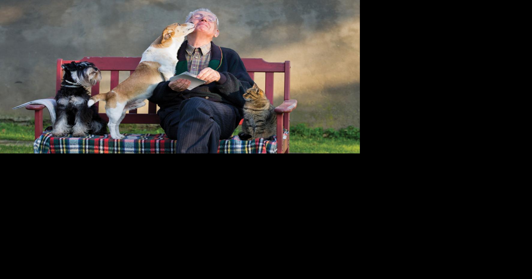 The health benefits of pets later in life