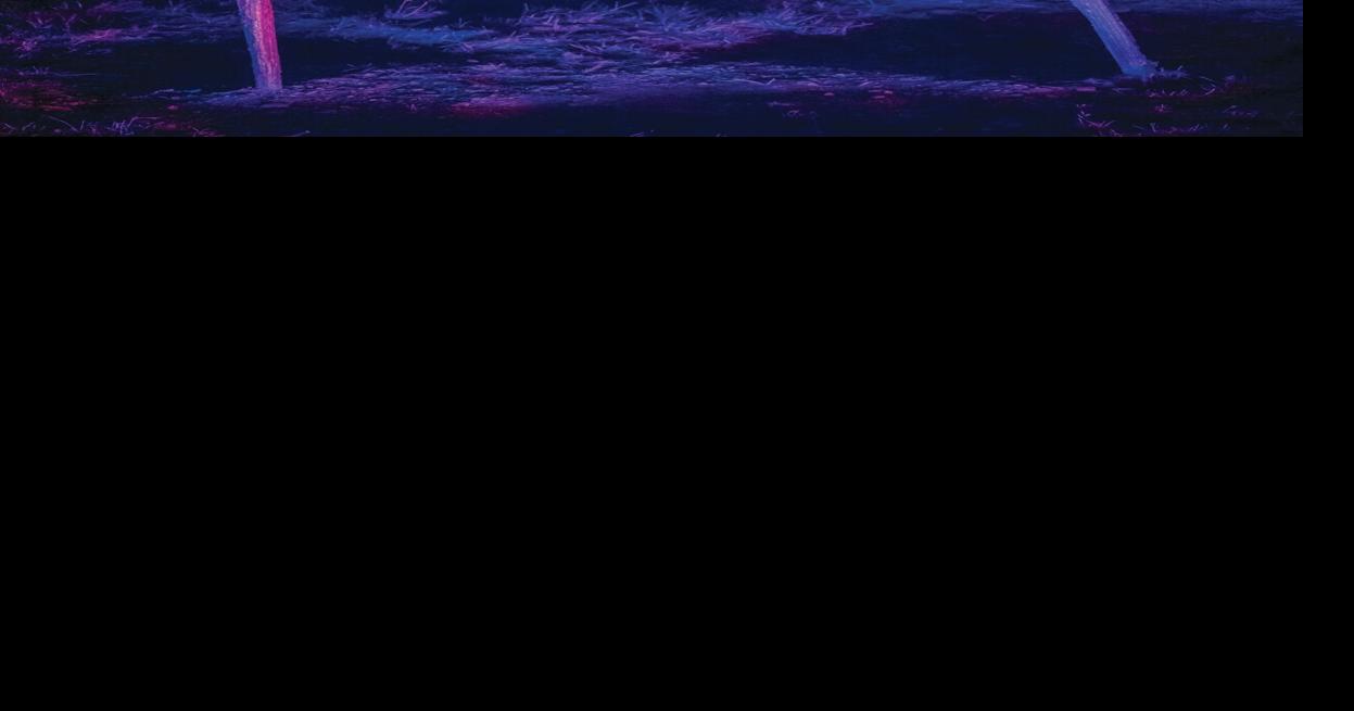 NIGHT LIGHTS returns to Griffis Sculpture Park Talk About the Arts