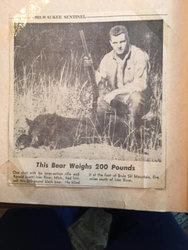 84-year-old Cadillac man bags 400-pound black bear near Mesick