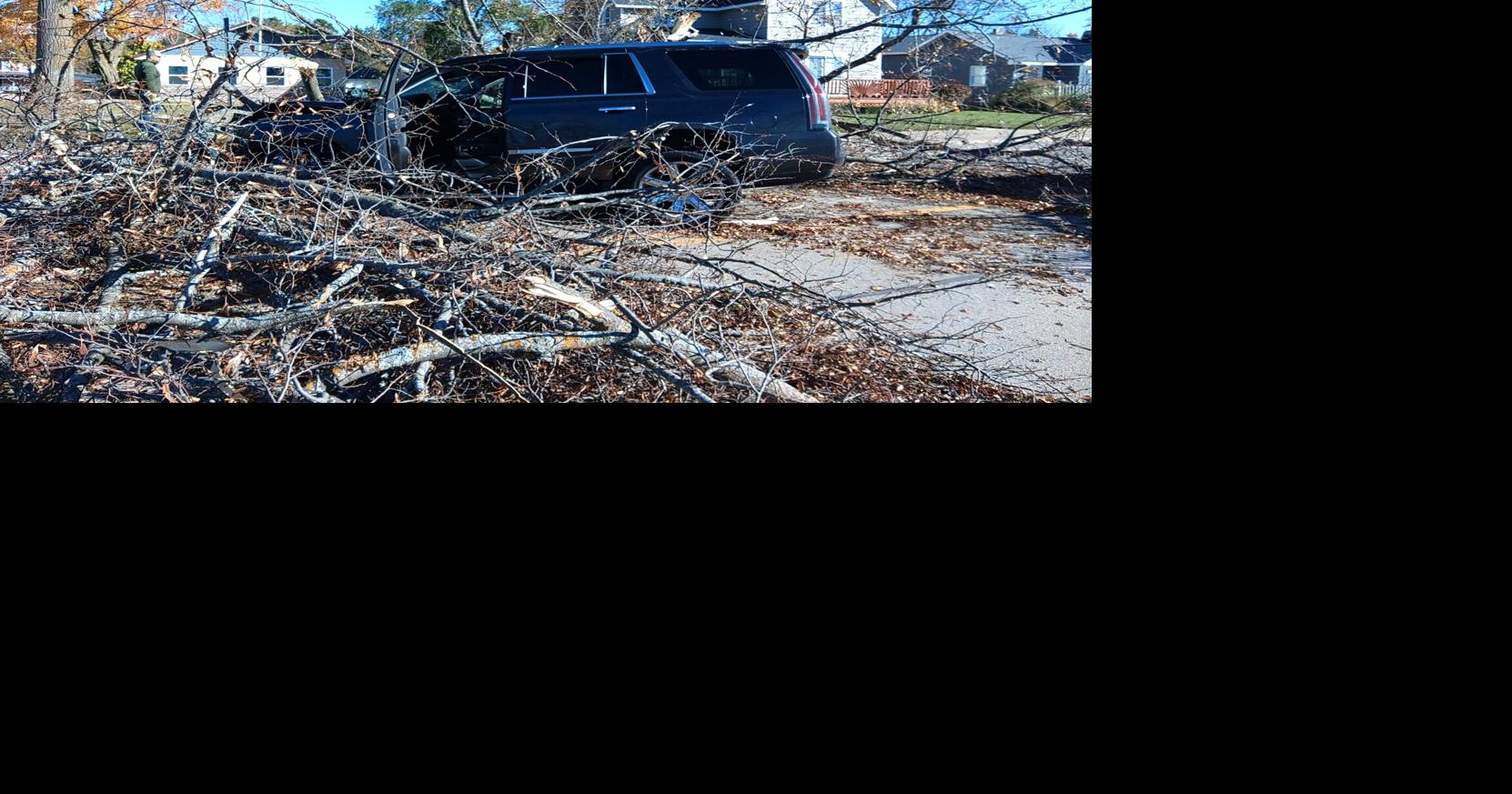 Two individuals injured after tree falls on vehicle | News ...