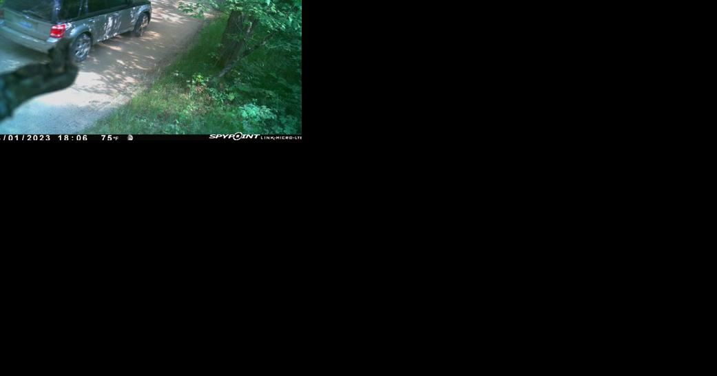 Police seeking information about 'person of interest' in theft of campground tube fees - Vimarsana News