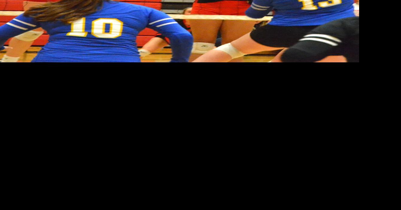 Reed City 2-1 at volleyball quad; more prep sports | Sports ...