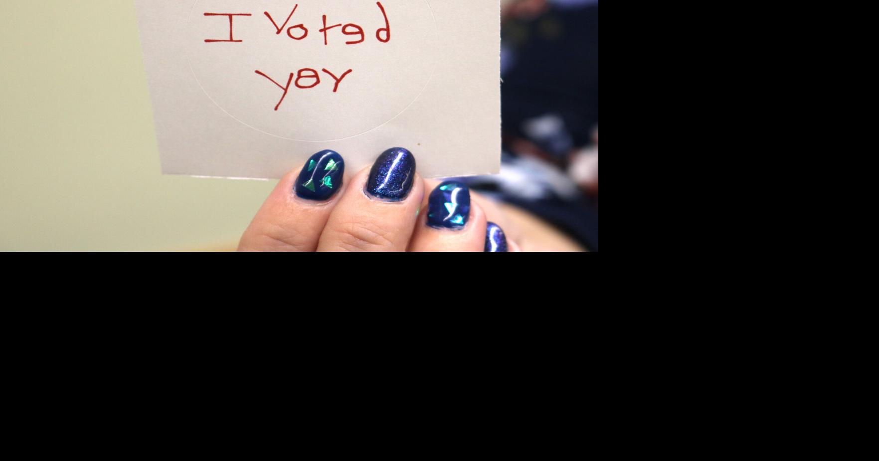 Only one local ballot proposal submitted for upcoming May election as deadline nears