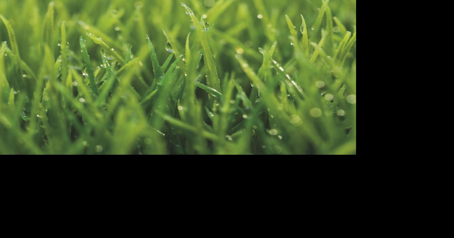 Haring Township reminding residents to mow their lawns