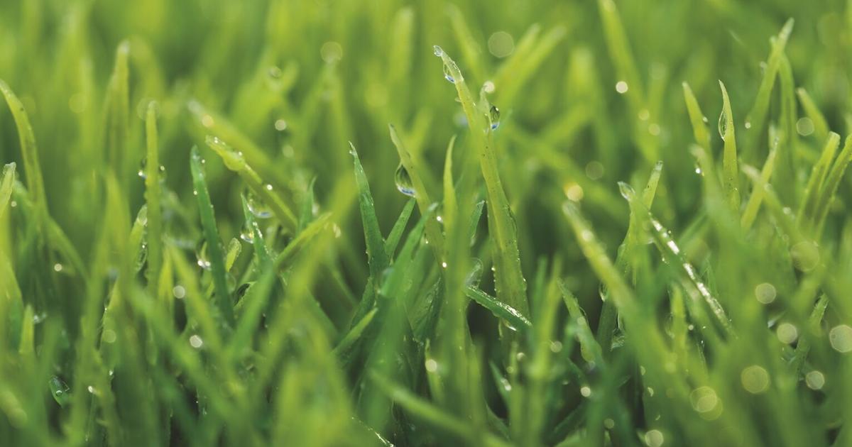 Haring Township reminding residents to mow their lawns