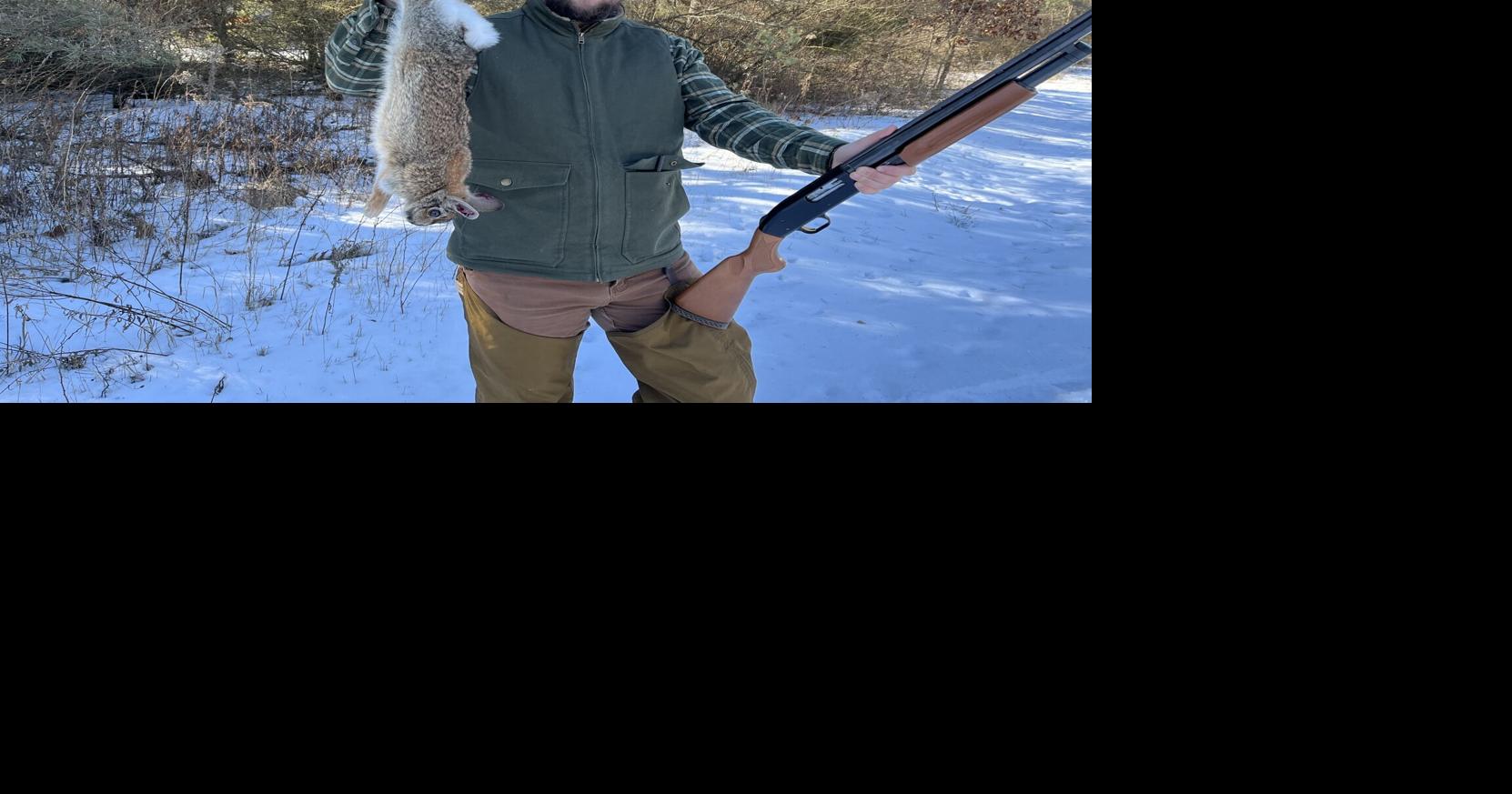 Rabbit hunting: It’s an age-old story, but it’s still worth ...