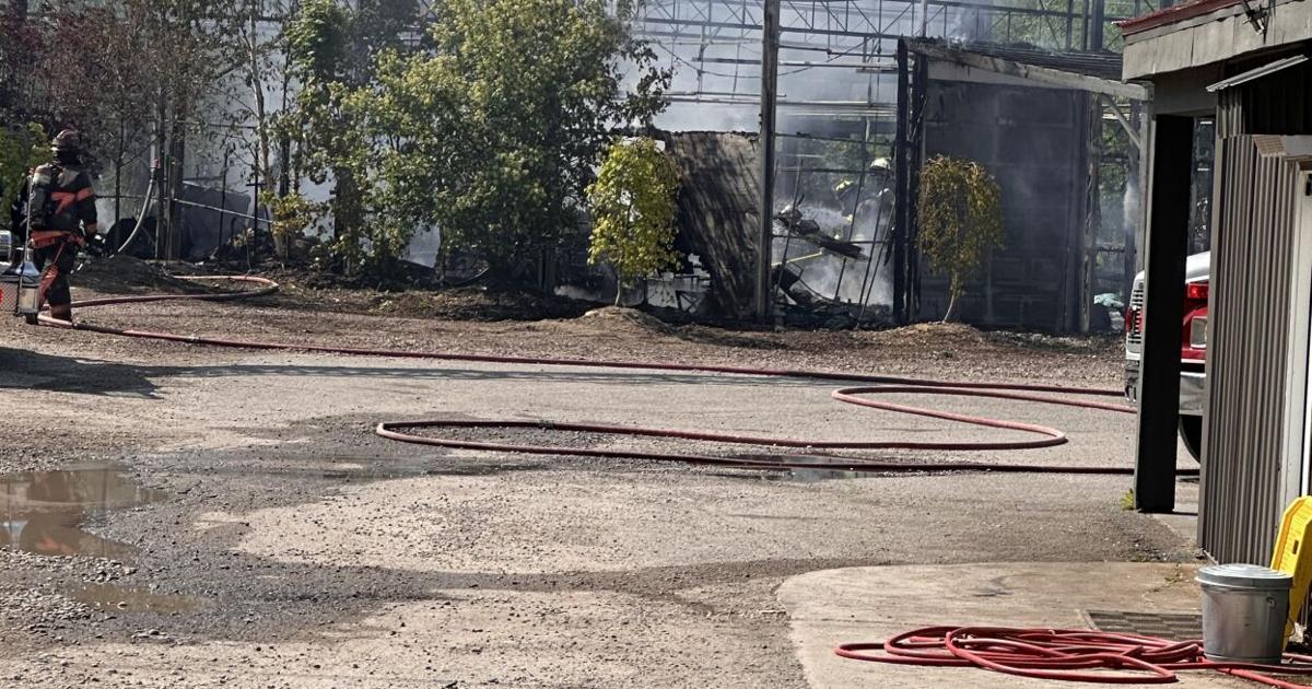 Greenhouse at 13th Street Market catches fire