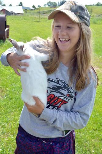 The show will go on and so will fair bird exhibits, sales | Local News ...