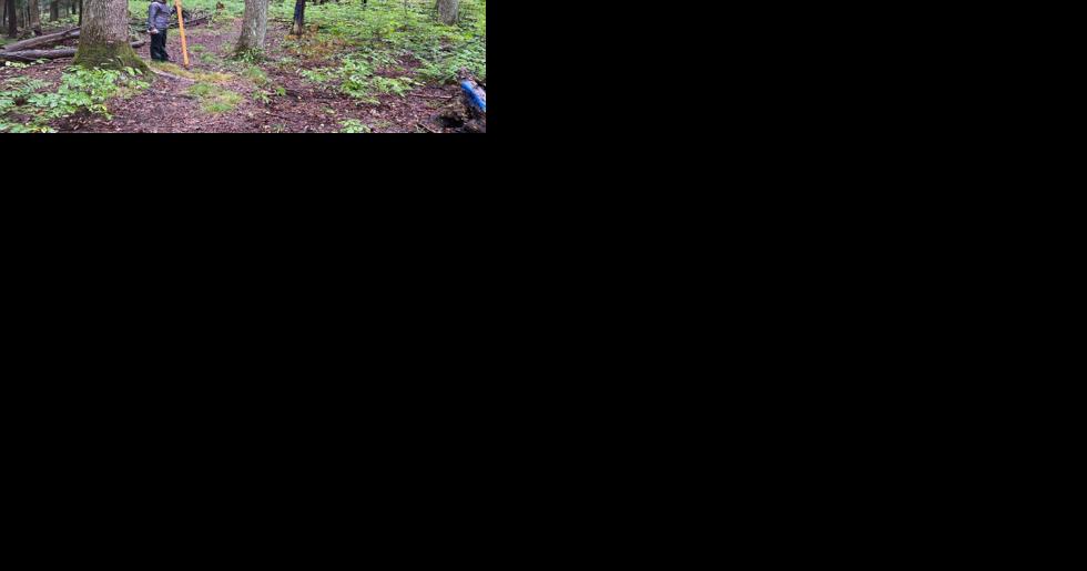 Friends of MacKenzie Trail awarded grant funding for improvements - Vimarsana News