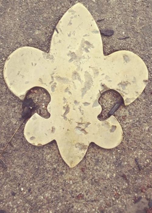 Missing Fleur De Lis