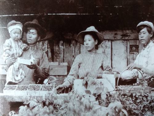 Veteran Tim Iseri to discuss a book that features his family's Japanese