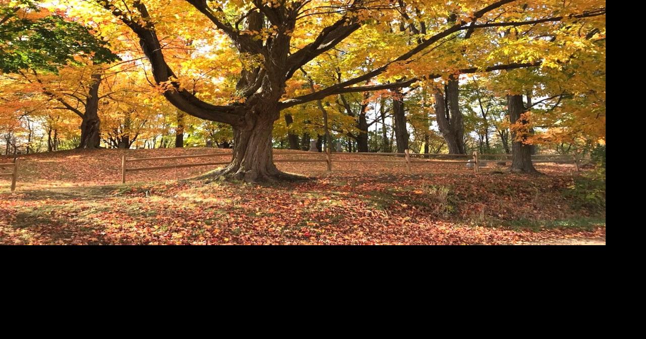 Autumn babies live longer and are athletic
