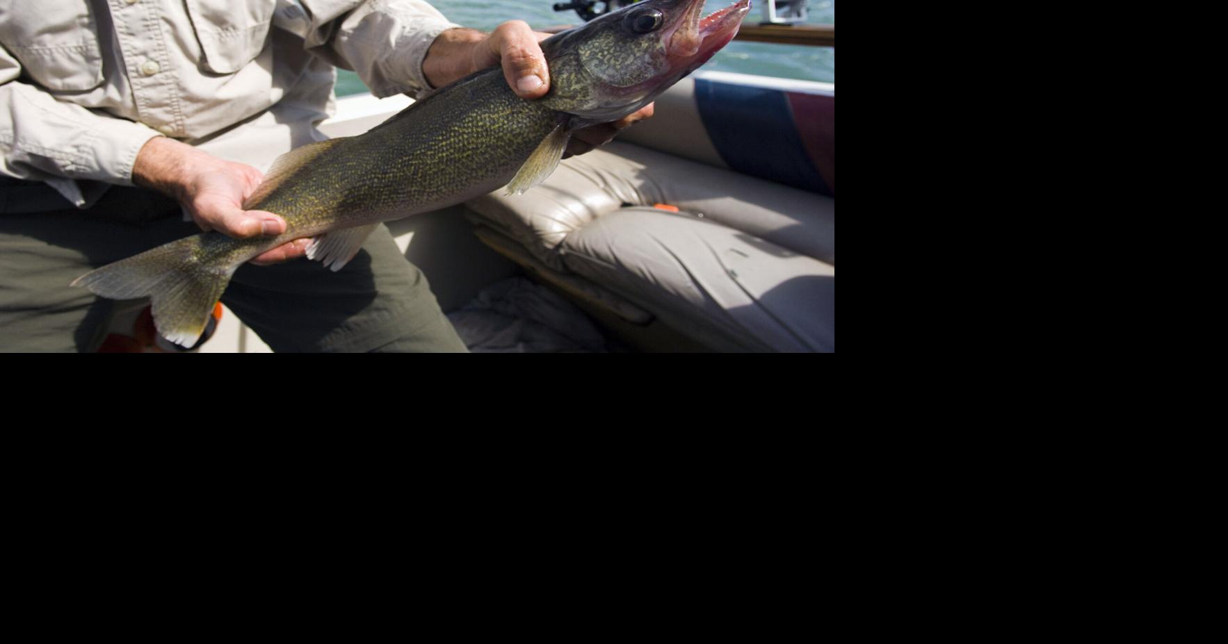 Fish, win prizes during Midwest Walleye Challenge | News | cadillacnews.com