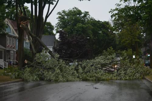 Storm knocks out power, downs trees in Wexford, Missaukee counties ...